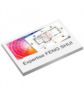 Expertise Feng Shui traditionnel