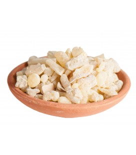 Encens en grains India Boswellia serrata 10 gr