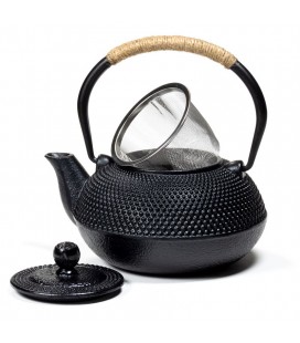 Tetsubin cast iron teapot Japanese style