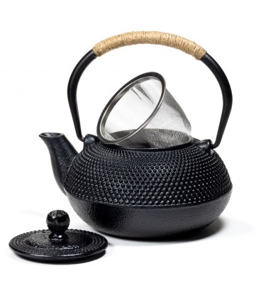 Tetsubin cast iron teapot Japanese style