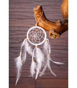 Dreamcatcher