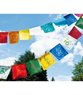 Tibetan Flag