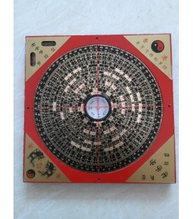 Luo Pan Compass Large Model