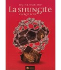 La shungite, énergie de vie