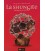 La shungite, énergie de vie